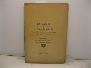 La lignite di S. Angelo in Mercole nel comune di Spoleto. Prime ricerche minerarie di Ricci Arpag...