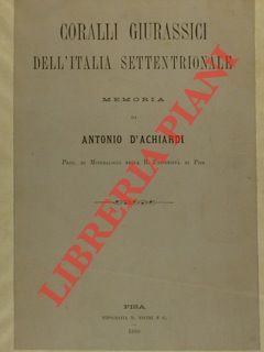 Coralli giurassici dell'Italia Settentrionale.