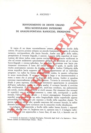Rinvenimento di dente umano nell'Acheuleano inferiore di Anagni-Fontana Ranuccio, Frosinone.