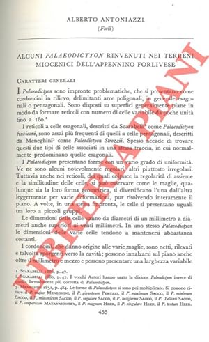 Alcuni Palaeodictyon rinvenuti nei terreni miocenici dell'Appennino forlivese.