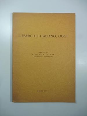 L'esercito italiano, oggi