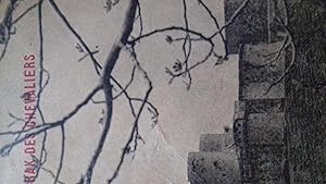 le crak des chevaliers