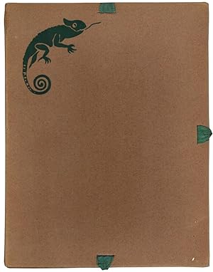 Caméléon.