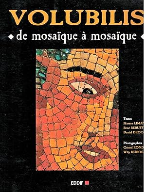 Volubilis. De mosaïque à mosaïque