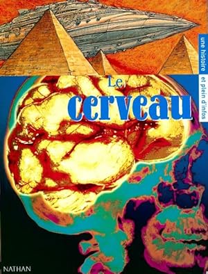 Le cerveau - Lionel Rémy