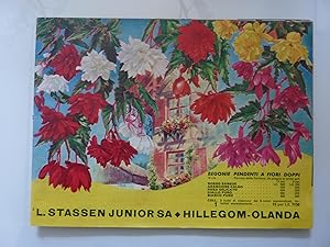 L. STASSEN JUNIOR SA HILLEGOM OLANDA CATALOGO PRIMAVERA 1957
