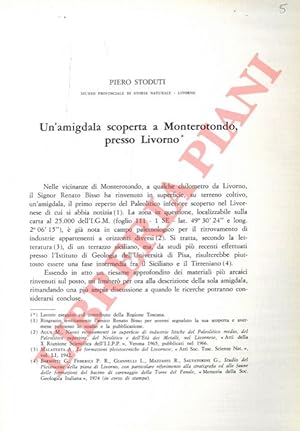 Un'amgidala scoperta a Monterotondo, presso Livorno.