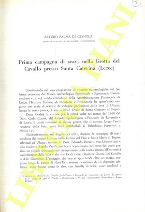 Prima campagna di scavi nella Grotta del Cavallo presso Santa Caterina (Lecce) .