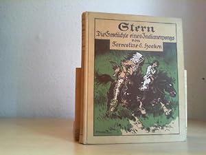 Seller image for Stern. Geschichte eines Indianerponys. for sale by Antiquariat im Schloss