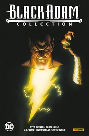 Seller image for Black Adam Collection for sale by Rheinberg-Buch Andreas Meier eK