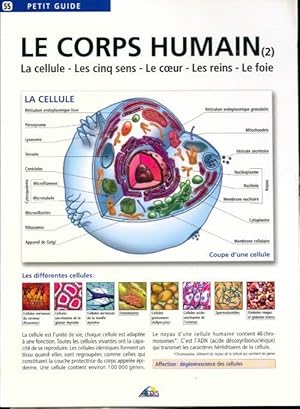 Le corps humain. Tome 2 la cellule, les cinq sens, le coeur, les reins, le foie - Henri Medori