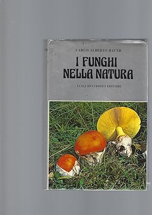 I FUNGHI NELLA NATURA