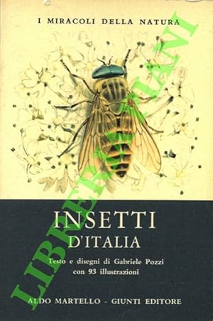 Insetti d'Italia.