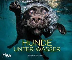 Imagen del vendedor de Hunde unter Wasser a la venta por AHA-BUCH GmbH