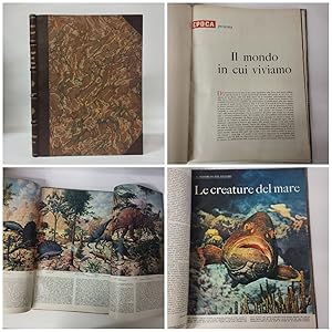 Fascicoli Rivista Epoca (Il mondo in cui viviamo)