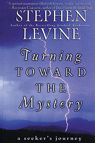 Beispielbild fr Turning Toward the Mystery: A Seeker's Journey zum Verkauf von Goldstone Books