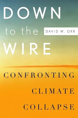 Stock image for Down to the Wire: Confronting Climate Collapse for sale by Goldstone Books