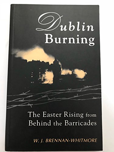 Beispielbild fr Dublin Burning zum Verkauf von medimops
