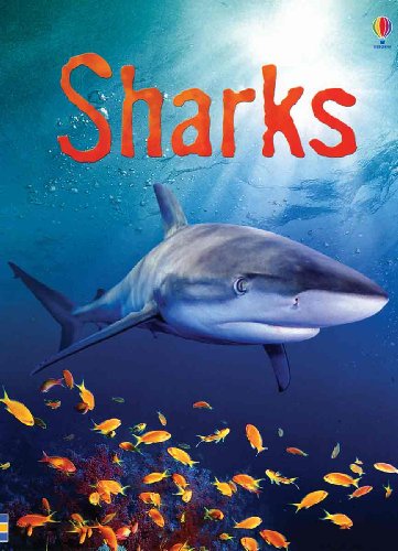 Beispielbild fr Sharks (Usborne Beginners) zum Verkauf von BooksRun