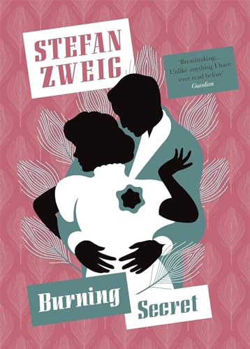 Imagen de archivo de Burning Secret (Pushkin Collection) a la venta por Bellwetherbooks