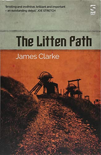 Imagen de archivo de The Litten Path: Winner of The Betty Trask Prize 2019 a la venta por Reuseabook