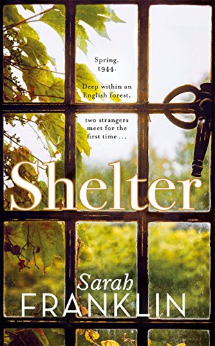 Beispielbild fr Shelter: A woman in war. What price will she pay for freedom? zum Verkauf von Reuseabook