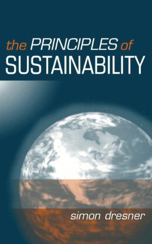 Image d'archives pour The Principles of Sustainability mis en vente par Kennys Bookshop and Art Galleries Ltd.