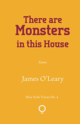 Stock image for There Are Monsters In This House (New Irish Voices Series) for sale by Revaluation Books