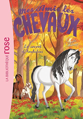 Stock image for Mes Amis les Chevaux - Volume 19 - Le Secret d'Andalou for sale by Solibri