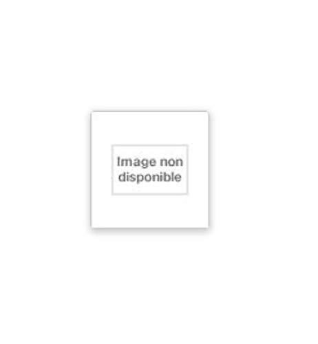 9782743616878: Prsence d'esprits (Rivages poche bibliothque trangre)