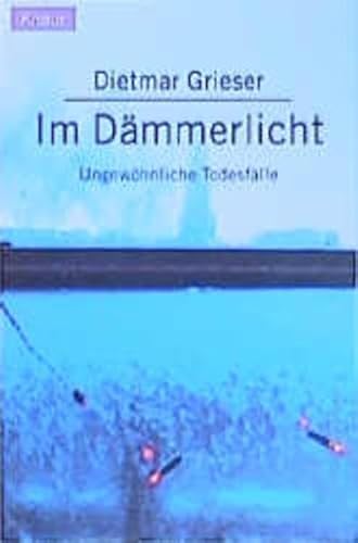 9783426618851: Im Dmmerlicht