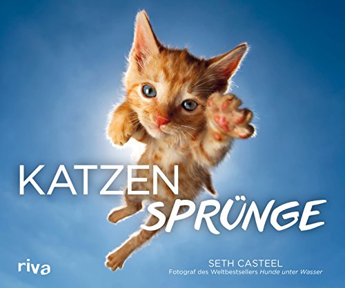 Imagen de archivo de Katzensprnge a la venta por medimops
