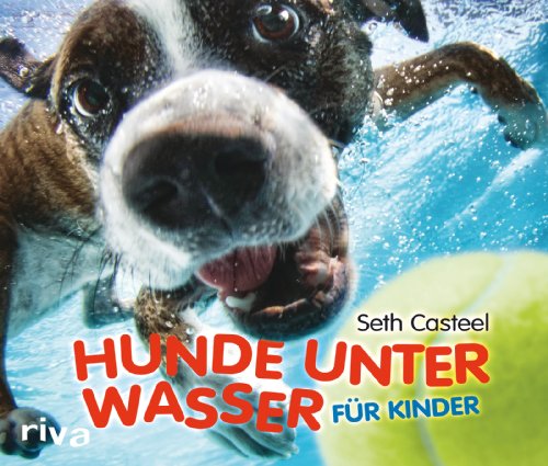 Imagen de archivo de Hunde unter Wasser fr Kinder a la venta por medimops